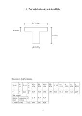Dviejų tarpatramių sijinis viadukas 3 puslapis