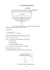 Dviejų tarpatramių sijinis viadukas 10 puslapis