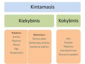 Imties sudarymas 6 puslapis