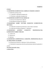 Kokios kompetencijos lemia vadybininko profesionalumą 2 puslapis