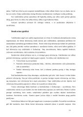 Kokios kompetencijos lemia vadybininko profesionalumą 17 puslapis