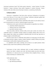 Kokios kompetencijos lemia vadybininko profesionalumą 18 puslapis