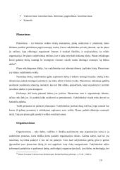 Kokios kompetencijos lemia vadybininko profesionalumą 20 puslapis