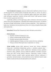 Kokios kompetencijos lemia vadybininko profesionalumą 3 puslapis