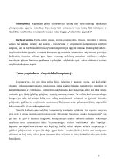 Kokios kompetencijos lemia vadybininko profesionalumą 4 puslapis