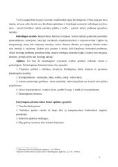 Kokios kompetencijos lemia vadybininko profesionalumą 8 puslapis