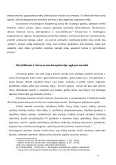 Kokios kompetencijos lemia vadybininko profesionalumą 10 puslapis