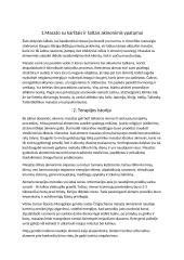 Rašto darbas apie masažą karštais ir šaltais akmenimis 2 puslapis