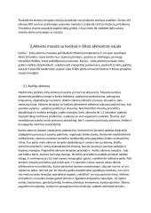 Rašto darbas apie masažą karštais ir šaltais akmenimis 3 puslapis