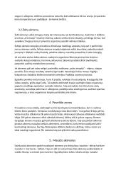 Rašto darbas apie masažą karštais ir šaltais akmenimis 4 puslapis