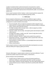 Rašto darbas apie masažą karštais ir šaltais akmenimis 5 puslapis