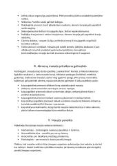 Rašto darbas apie masažą karštais ir šaltais akmenimis 6 puslapis