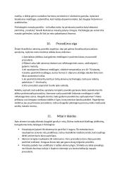 Rašto darbas apie masažą karštais ir šaltais akmenimis 8 puslapis