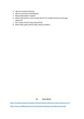 Rašto darbas apie masažą karštais ir šaltais akmenimis 10 puslapis