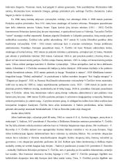 Asmenybės vaidmuo XX a. istorijoje 2 puslapis