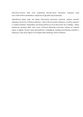 Kaip motyvuoti darbuotojus? Ir kokie tai gali būti metodai? 2 puslapis