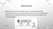 Socialinės problemos Lietuvoje 2 puslapis