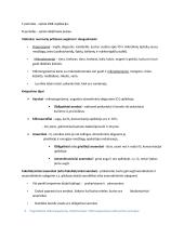 Mikrobiologijos teorinė medžiaga 9 puslapis