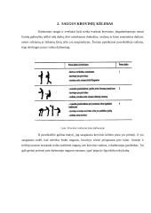 Saugus darbas tvarkant krovinius rankomis 5 puslapis