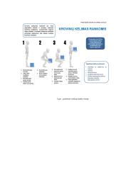 Saugus darbas tvarkant krovinius rankomis 7 puslapis