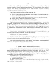 Sandelių logistika UAB „TLSC“ 13 puslapis