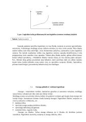 Sandelių logistika UAB „TLSC“ 14 puslapis