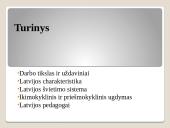 Ikimokyklinio ir priešmokyklinio ugdymo organizavimas ir patirtis Latvijoje 2 puslapis