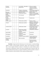 Biologijos konspektas 11-12kls. 10 puslapis