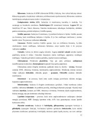 Biologijos konspektas 11-12kls. 11 puslapis