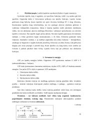 Biologijos konspektas 11-12kls. 15 puslapis