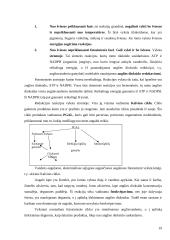 Biologijos konspektas 11-12kls. 18 puslapis