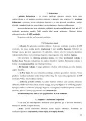 Biologijos konspektas 11-12kls. 19 puslapis