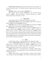 Biologijos konspektas 11-12kls. 6 puslapis