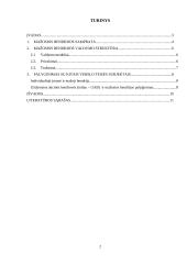 Mažoji bendrija kaip verslo teisės subjektas 2 puslapis