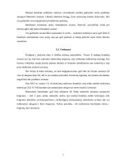 Mažoji bendrija kaip verslo teisės subjektas 7 puslapis