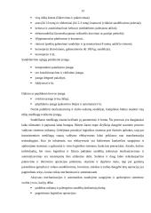 Sandėlių logistika UAB „TLSC“ įmonėje 13 puslapis