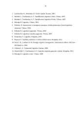 Sandėlių logistika UAB „TLSC“ įmonėje 16 puslapis