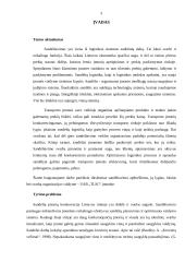 Sandėlių logistika UAB „TLSC“ įmonėje 3 puslapis