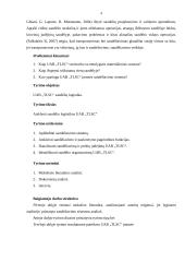 Sandėlių logistika UAB „TLSC“ įmonėje 4 puslapis