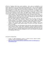 Vaiko pasižyminčio agresyviu elgesiu, situacijos analizė 2 puslapis