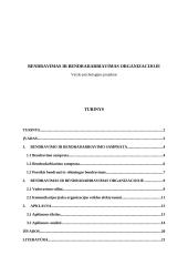 Psichologila. Bendravimas ir bendradarbiavimas organizacijoje