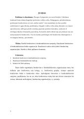 Psichologila. Bendravimas ir bendradarbiavimas organizacijoje 3 puslapis