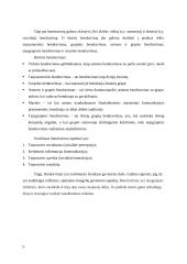 Psichologila. Bendravimas ir bendradarbiavimas organizacijoje 5 puslapis