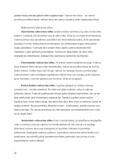 Psichologila. Bendravimas ir bendradarbiavimas organizacijoje 10 puslapis