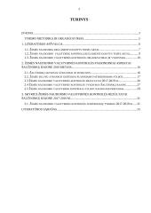 Žemės naudojimo valstybinės kontrolės vertinimas 2 puslapis