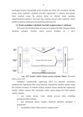Žemės naudojimo valstybinės kontrolės vertinimas 11 puslapis