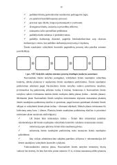 Žemės naudojimo valstybinės kontrolės vertinimas 12 puslapis