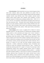 Žemės naudojimo valstybinės kontrolės vertinimas 3 puslapis