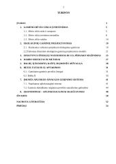 Gaminio būvio ciklas ir galimybės tobulinti aplinkos apsaugą 2 puslapis