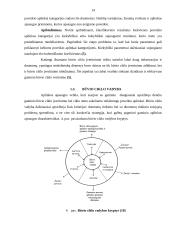 Gaminio būvio ciklas ir galimybės tobulinti aplinkos apsaugą 14 puslapis